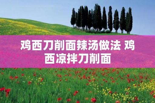 鸡西刀削面辣汤做法 鸡西凉拌刀削面
