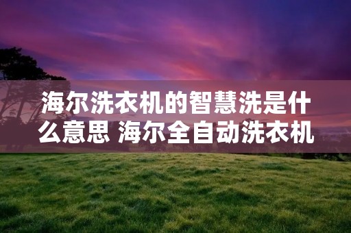 海尔洗衣机的智慧洗是什么意思 海尔全自动洗衣机智慧洗模式是什么意思