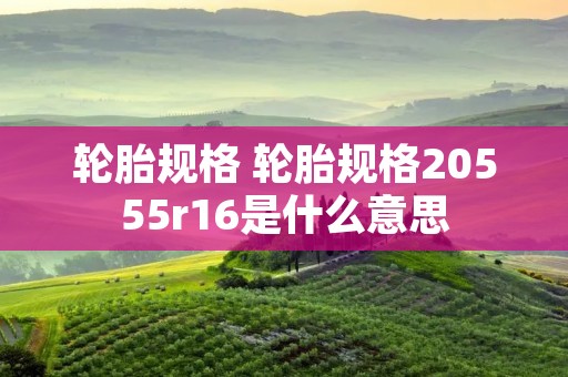 轮胎规格 轮胎规格20555r16是什么意思