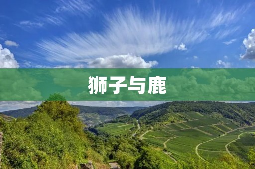 狮子与鹿：自然界中的两位王者