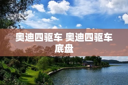 奥迪四驱车 奥迪四驱车底盘