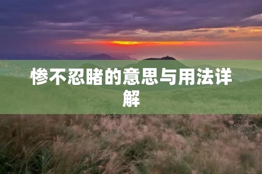 惨不忍睹的意思与用法详解
