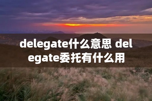 delegate什么意思 delegate委托有什么用 delegate什么意思 delegate委托有什么用