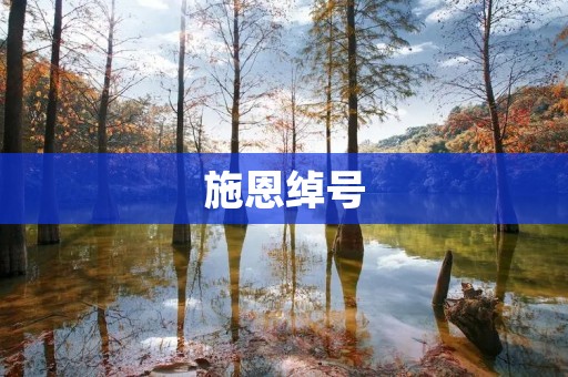 施恩绰号：探索历史中的独特封号