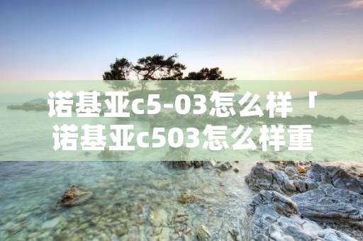 诺基亚c5-03怎么样「诺基亚c503怎么样重启」