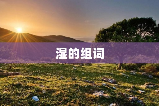 湿的组词：湿地、湿润、湿气、湿漉漉、湿淋淋、湿透、湿滑、湿热、湿冷、湿雨