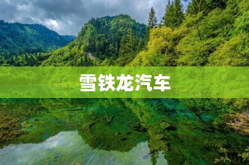 雪铁龙汽车：品质与创新的完美结合