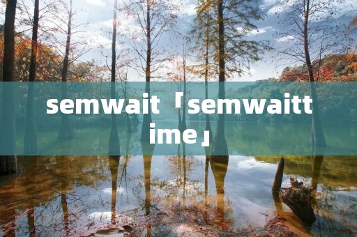 semwait「semwaittime」