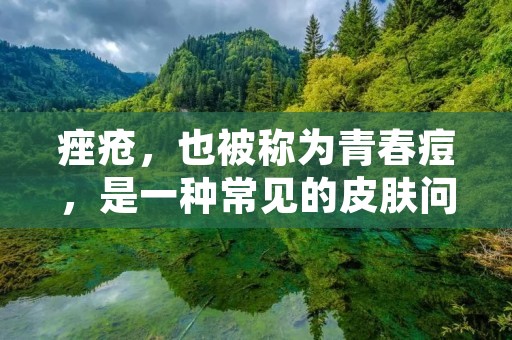 痤疮，也被称为青春痘，是一种常见的皮肤问题，主要发生在青春期的人群中。它通常以面部、背部和胸部出现的粉刺、丘疹和囊肿为特征。痤疮的形成主要是由于皮脂腺过度活跃，导致毛囊堵塞，细菌感染和炎症反应。