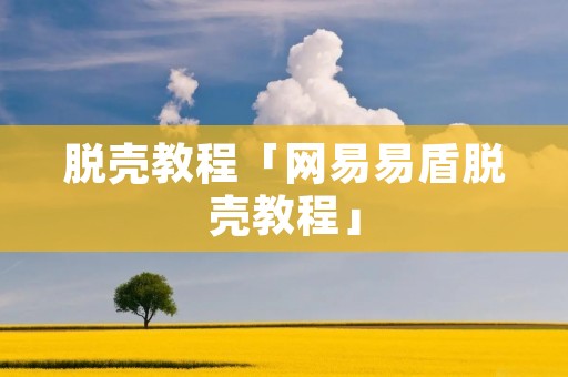 脱壳教程「网易易盾脱壳教程」 脱壳教程「网易易盾脱壳教程」