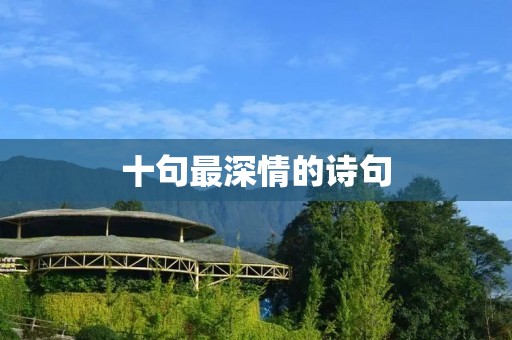 十句最深情的诗句