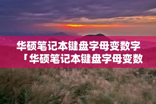 华硕笔记本键盘字母变数字「华硕笔记本键盘字母变数字怎么按回来」