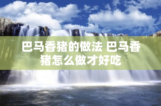 巴马香猪的做法 巴马香猪怎么做才好吃