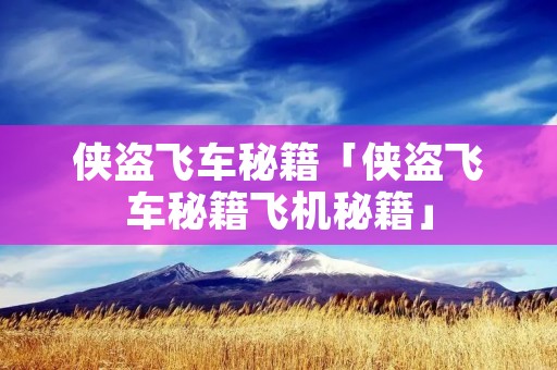 侠盗飞车秘籍「侠盗飞车秘籍飞机秘籍」