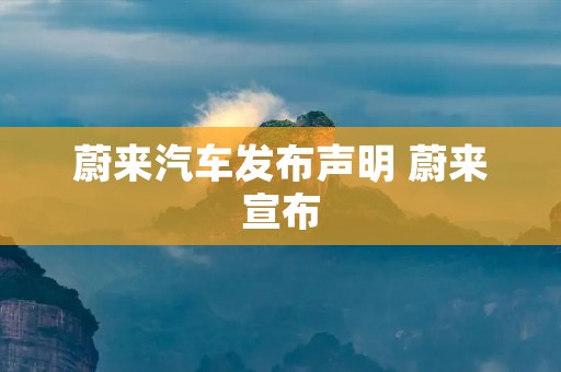蔚来汽车发布声明 蔚来宣布 蔚来汽车发布声明 蔚来宣布