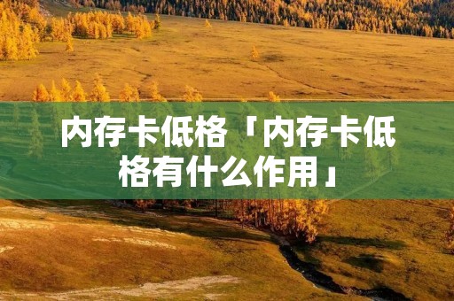 内存卡低格「内存卡低格有什么作用」