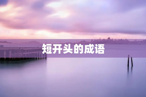 短开头的成语：一石二鸟