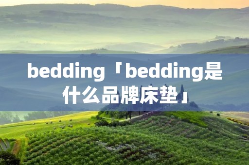 bedding「bedding是什么品牌床垫」 bedding「bedding是什么品牌床垫」
