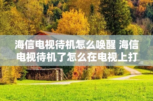 海信电视待机怎么唤醒 海信电视待机了怎么在电视上打开 海信电视待机怎么唤醒 海信电视待机了怎么在电视上打开