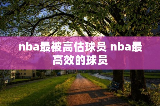 nba最被高估球员 nba最高效的球员 nba最被高估球员 nba最高效的球员