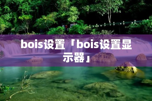 bois设置「bois设置显示器」