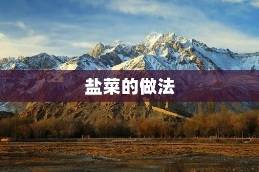 盐菜的做法:传统美味,回味无穷 盐菜的做法:传统美味,回味无穷