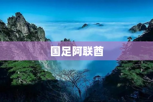 国足阿联酋：挑战与希望交织的比赛