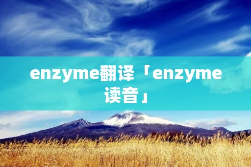 enzyme翻译「enzyme读音」