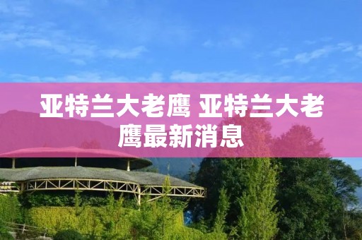 亚特兰大老鹰 亚特兰大老鹰最新消息