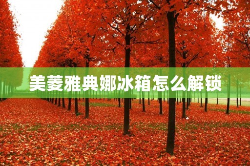 美菱雅典娜冰箱怎么解锁