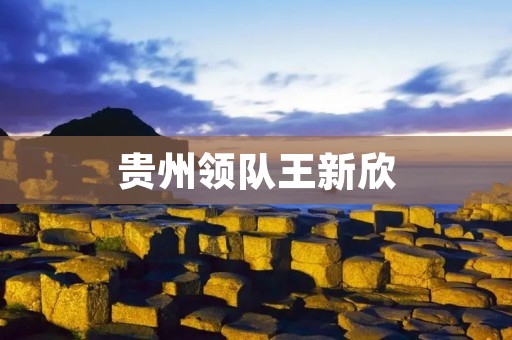 贵州领队王新欣：带领团队勇攀高峰，成就非凡