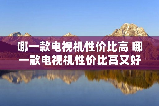 哪一款电视机性价比高 哪一款电视机性价比高又好用