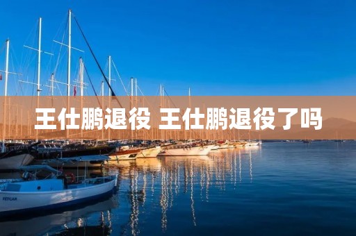 王仕鹏退役 王仕鹏退役了吗 王仕鹏退役 王仕鹏退役了吗
