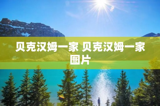 贝克汉姆一家 贝克汉姆一家图片 贝克汉姆一家 贝克汉姆一家图片