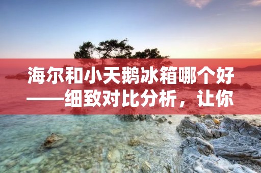 海尔和小天鹅冰箱哪个好——细致对比分析,让你做出明智选择 海尔和小天鹅冰箱哪个好——细致对比分析,让你做出明智选择