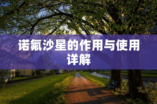 诺氟沙星的作用与使用详解