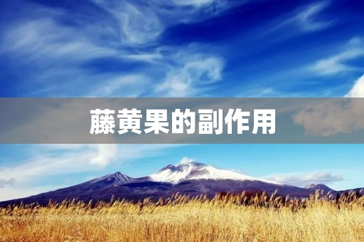 藤黄果的副作用:了解这些重要信息