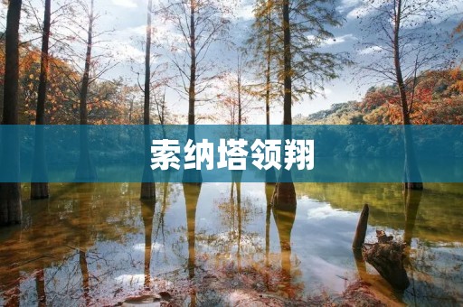 索纳塔领翔:豪华座驾的完美诠释 索纳塔领翔:豪华座驾的完美诠释