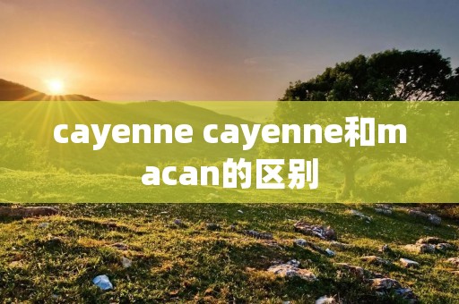 cayenne cayenne和macan的区别