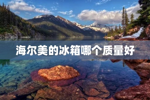海尔美的冰箱哪个质量好:全方位解析海尔美的冰箱质量 海尔美的冰箱哪个质量好:全方位解析海尔美的冰箱质量