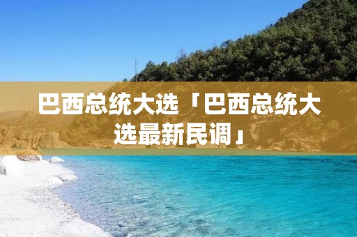巴西总统大选「巴西总统大选最新民调」
