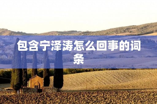 包含宁泽涛怎么回事的词条