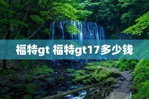 福特gt 福特gt17多少钱 福特gt 福特gt17多少钱