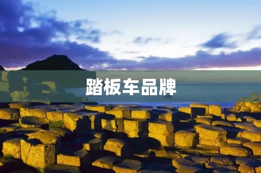 踏板车品牌：如何选择最适合你的踏板车？