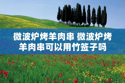 微波炉烤羊肉串 微波炉烤羊肉串可以用竹签子吗