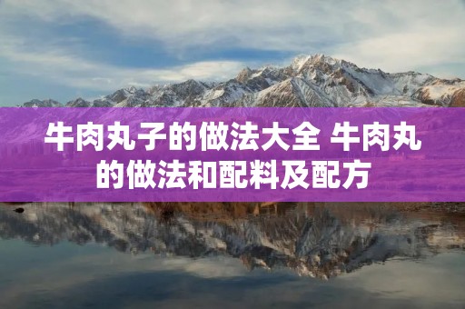 牛肉丸子的做法大全 牛肉丸的做法和配料及配方