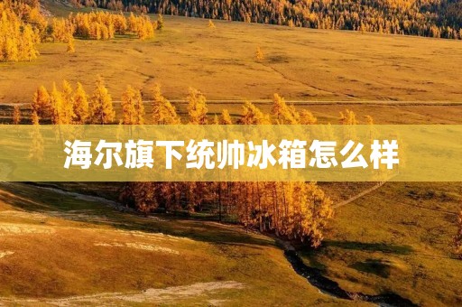 海尔旗下统帅冰箱怎么样