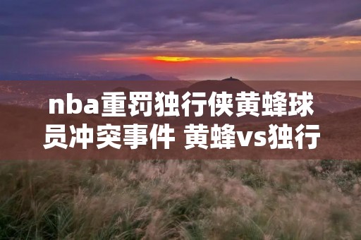 nba重罚独行侠黄蜂球员冲突事件 黄蜂vs独行侠乔丹 nba重罚独行侠黄蜂球员冲突事件 黄蜂vs独行侠乔丹