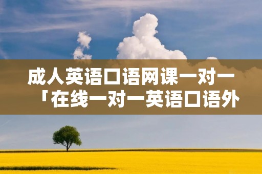 成人英语口语网课一对一「在线一对一英语口语外教」