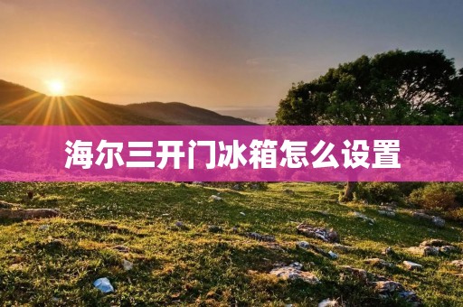 海尔三开门冰箱怎么设置 海尔三开门冰箱怎么设置